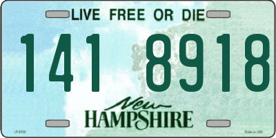 NH license plate 1418918