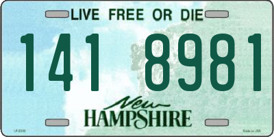 NH license plate 1418981
