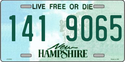 NH license plate 1419065