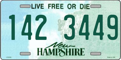 NH license plate 1423449