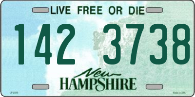 NH license plate 1423738