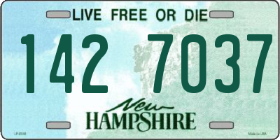 NH license plate 1427037