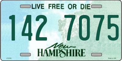 NH license plate 1427075