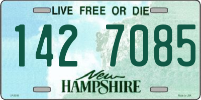 NH license plate 1427085