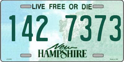 NH license plate 1427373