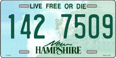 NH license plate 1427509