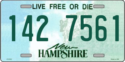 NH license plate 1427561