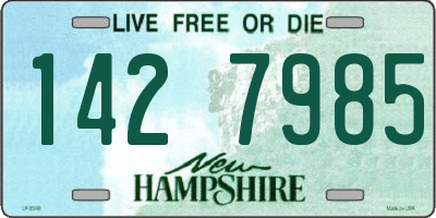 NH license plate 1427985