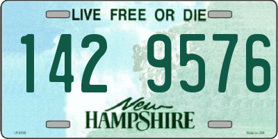 NH license plate 1429576