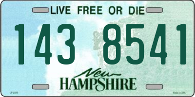 NH license plate 1438541