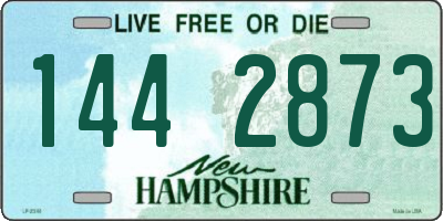 NH license plate 1442873