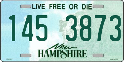 NH license plate 1453873