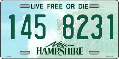 NH license plate 1458231