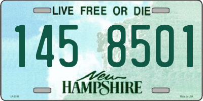 NH license plate 1458501