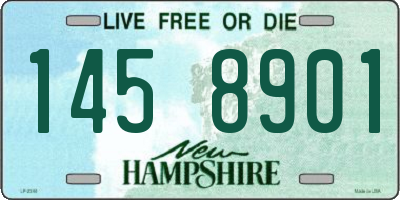 NH license plate 1458901