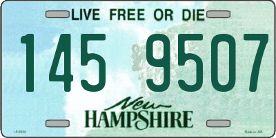NH license plate 1459507