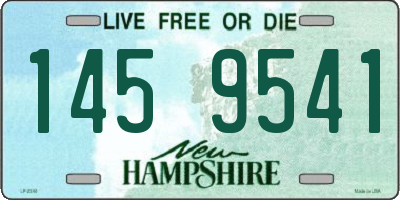 NH license plate 1459541