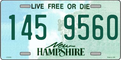 NH license plate 1459560