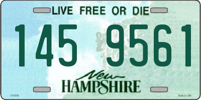 NH license plate 1459561
