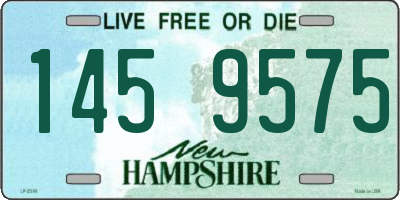 NH license plate 1459575