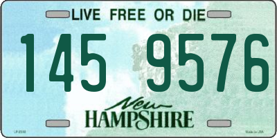 NH license plate 1459576