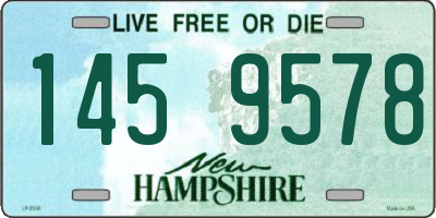 NH license plate 1459578