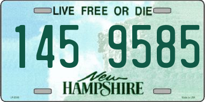 NH license plate 1459585