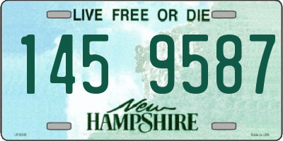 NH license plate 1459587