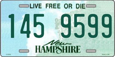 NH license plate 1459599
