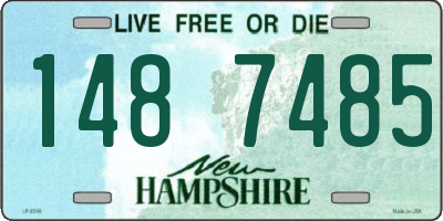 NH license plate 1487485