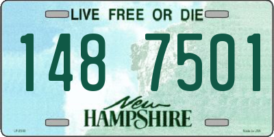 NH license plate 1487501