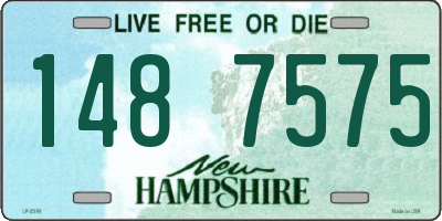 NH license plate 1487575