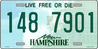 NH license plate 1487901