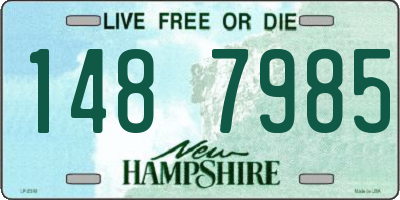 NH license plate 1487985