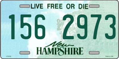 NH license plate 1562973