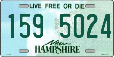NH license plate 1595024
