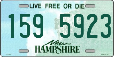 NH license plate 1595923