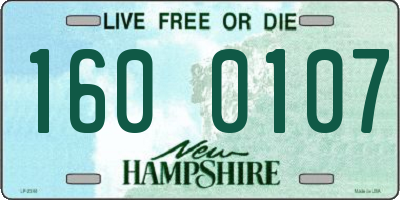 NH license plate 1600107