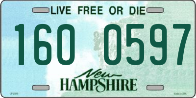 NH license plate 1600597