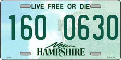 NH license plate 1600630