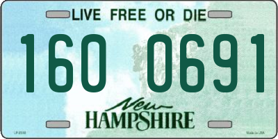 NH license plate 1600691