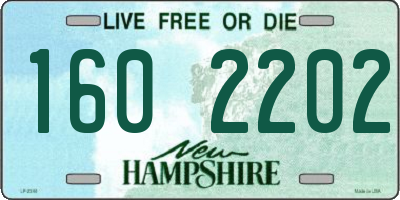 NH license plate 1602202
