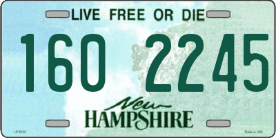 NH license plate 1602245