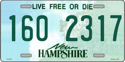 NH license plate 1602317