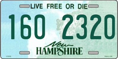 NH license plate 1602320