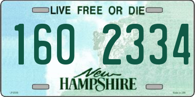 NH license plate 1602334