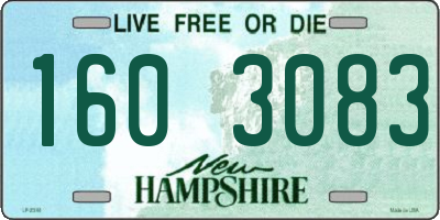 NH license plate 1603083
