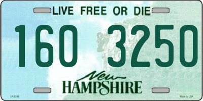 NH license plate 1603250