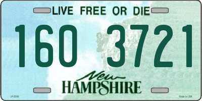 NH license plate 1603721