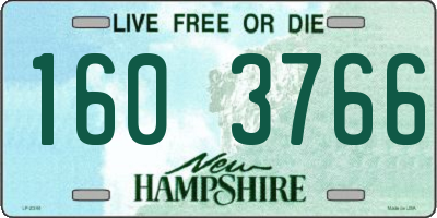 NH license plate 1603766